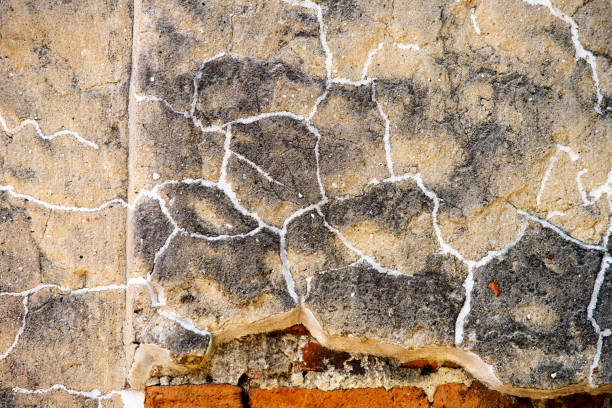 This image showcases a textured wall featuring intricate cracks and fissures. The neutral tones create an abstract yet detailed visual, ideal for backgrounds or artistic projects.