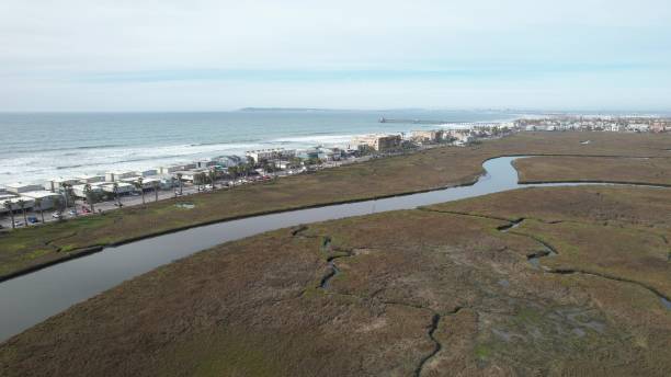 Coastal Wetlands and Oceanfront Buildings