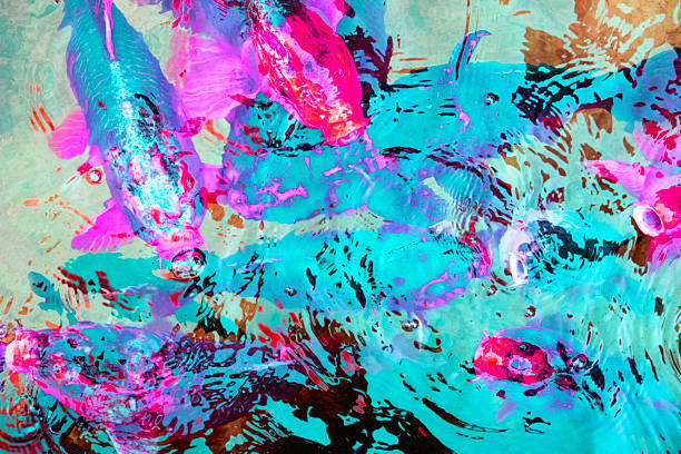 istock Colorful koi fish in a pond. Abstract background. Texture. 2204137442