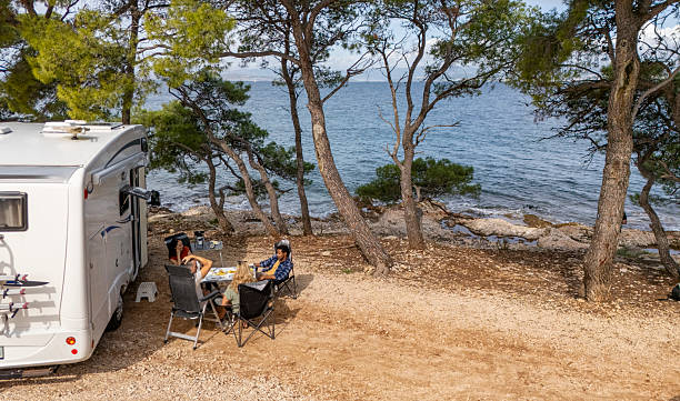 istock Diverse Friends Relaxing by Camper Near Scenic Seaside with Pine Trees Under Bright Daylight 2204137989