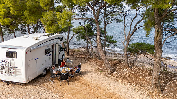 istock Diverse Friends Enjoying Seaside Camping Next to RV Under Pine Trees 2204138008