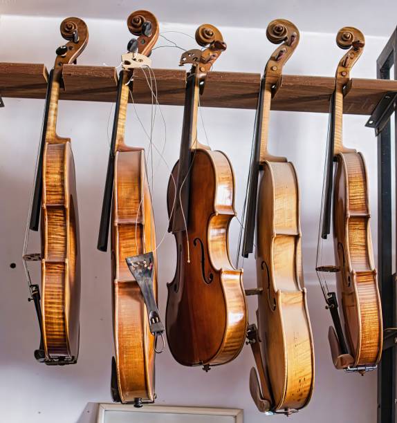 Violins awaiting repair in a violin workshop.