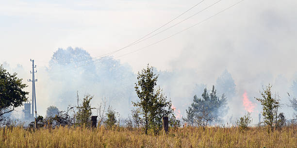 istock Forest fire spreads through dry grassland during summer heat 2204150937
