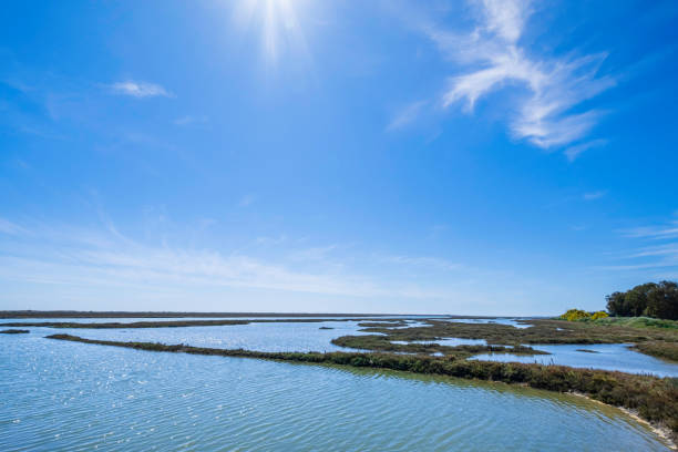 istock Ria Formosa Natural Park, in eastern Algarve (Portugal) 2204153979