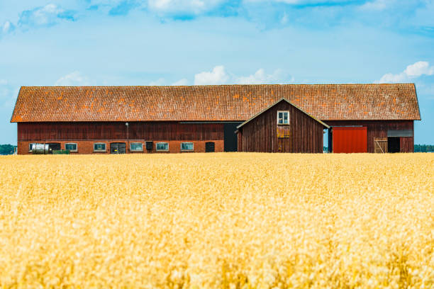 Farm with blue skies in West Michigan