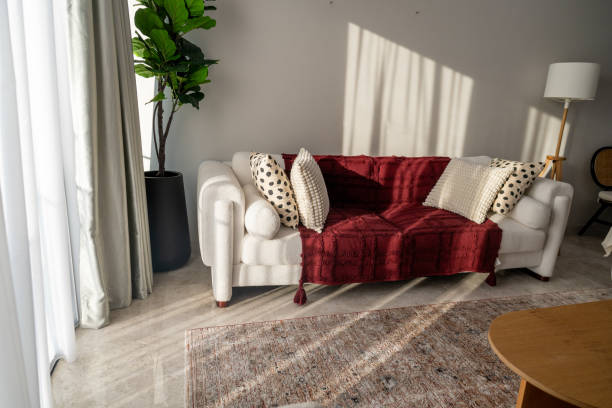 istock Natural Light and Cozy Comfort: A Simple Living Room 2204162598