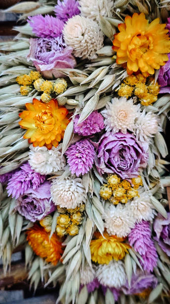 istock bouquets of dried flowers 2204182508