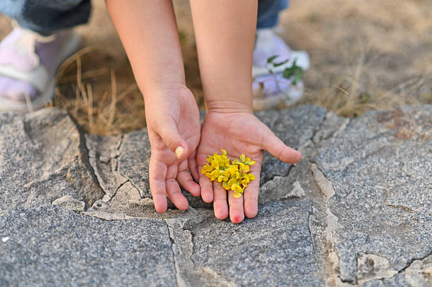 the child has yellow petals in his hands. close-up