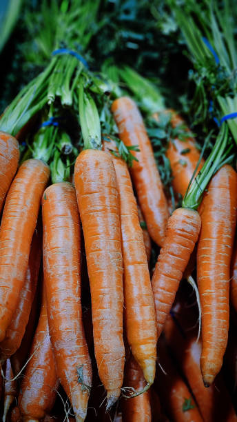 istock fresh vegetables at the central market in budapest 2204185756