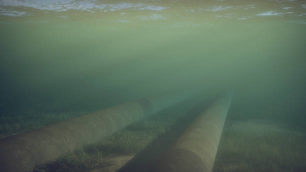 istock Subsea gas pipelines on sea bed 2204187355