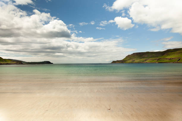serene view of a beach in nature