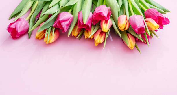 istock Spring yellow and pink tulips on light pink background. Top view. 2204196367