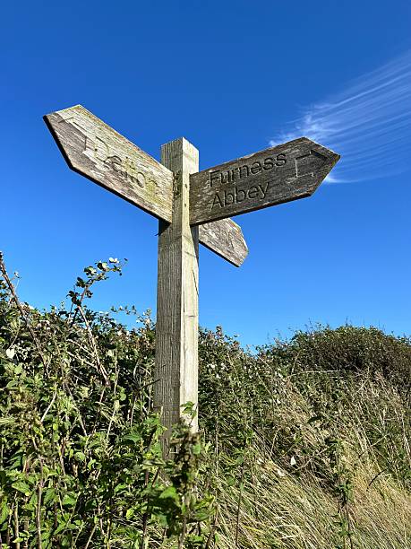 istock Weathered wooden signpost under a clear blue sky 2204196996