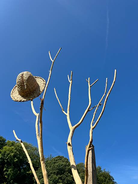 Straw hat hanging on dried branches against a vibrant blue sky at Furness Abbey reenactment.