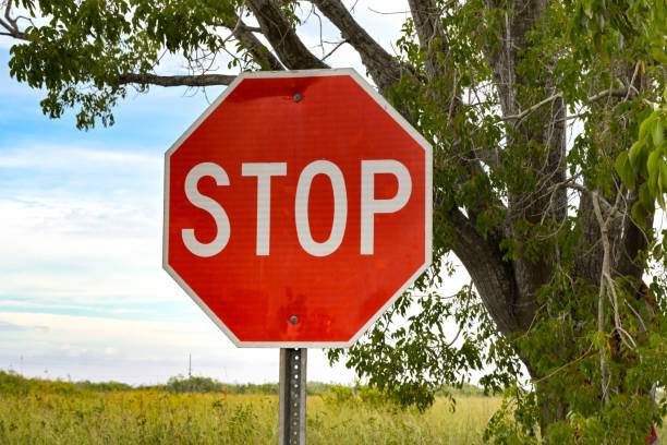 istock Road sign warning motorists to stop at a junction 2204198852