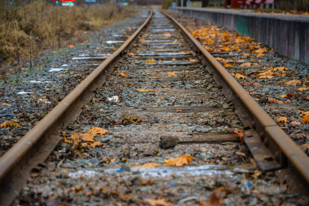 Narrow gauge railroad track passing a station.