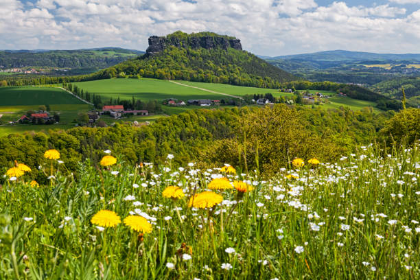View of Lilienstein table mountain in Saxon Switzerland, Germany