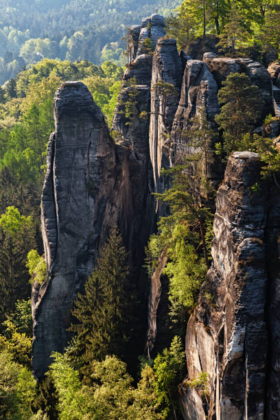 Bastei rocks in Saxon Switzerland, Germany