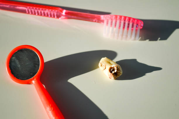 Set of dental premolars and molars isolated on blue background with clipping path and large copy space. Dental health concept of teeth whitening, examination and hygiene. 3D model illustration design.