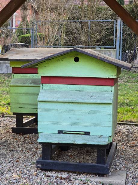 Photo showing old bee hives. Gołuchów - Poland