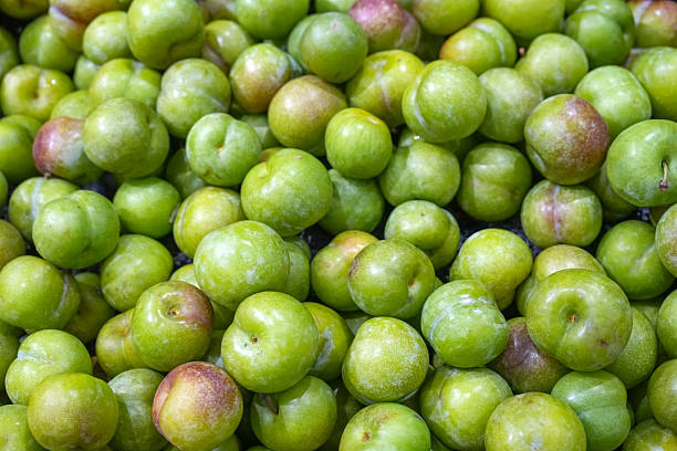 istock fresh plum as food background 2204202321