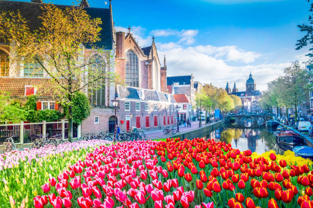 istock Houses of Amstardam, Netherlands 2204203728