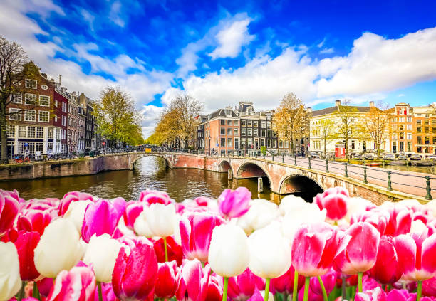 istock Houses of Amstardam, Netherlands 2204203990