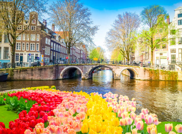 istock Houses of Amstardam, Netherlands 2204204855