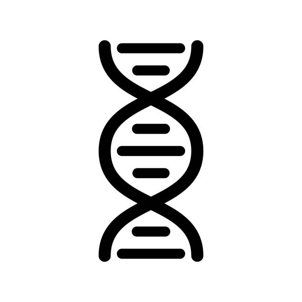 dna-kettensymbol mit editierbarem strich - chromosom stock-grafiken, -clipart, -cartoons und -symbole