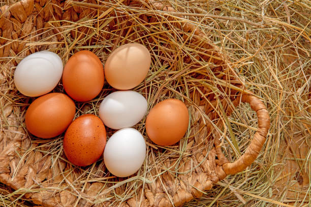 A collection of fresh white eggs is stacked in a pyramid formation atop a natural textured fabric. The setting highlights their smooth surface and clean appearance.