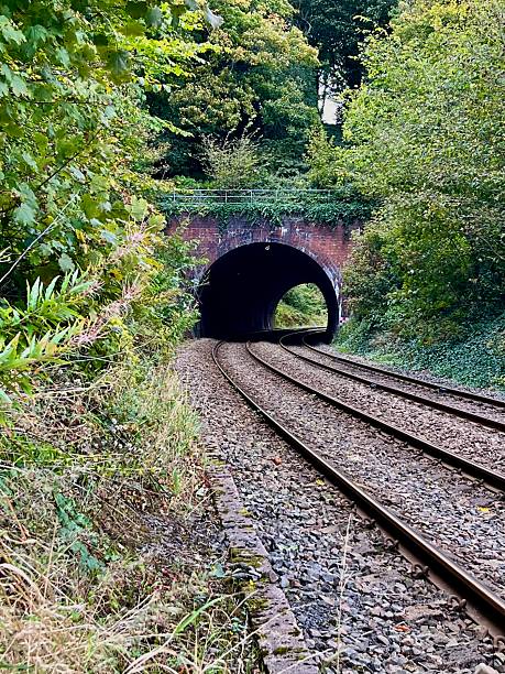 istock A railway tunnel framed by lush greenery, with tracks leading into the dark opening 2204208797