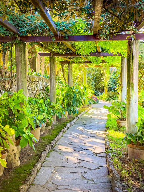 istock Capri island, Italy 2204210133