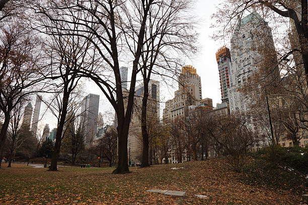 New York - Skyline / New York, USA – December 17, 2017 - Skyline /