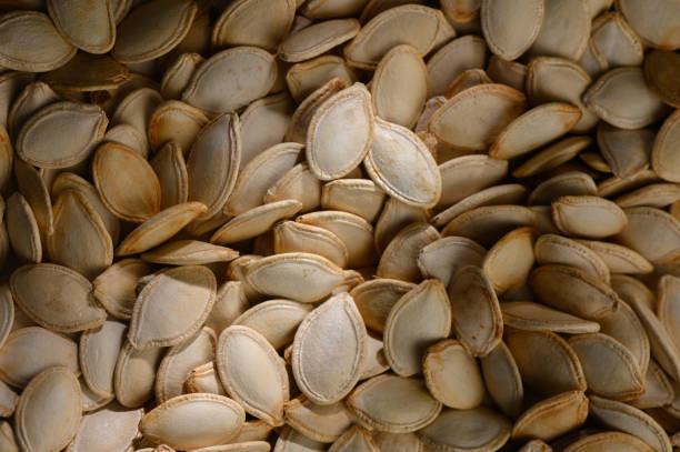 istock Harvesting pumpkin seeds in a rustic setting during autumn days evokes warmth and nostalgia 2204217997