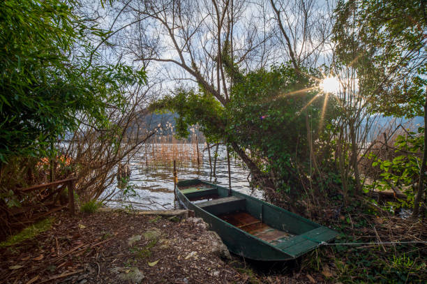 Barca nascosta nel lago