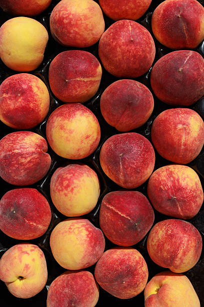 Freshly harvested peaches piled together