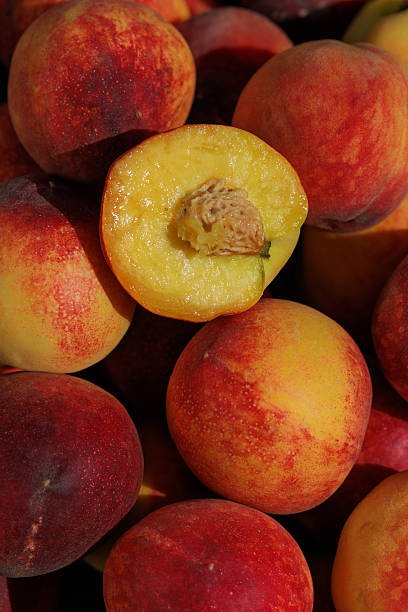 Several fresh peaches, one of them sliced in half, exposing the rich and juicy flesh inside
