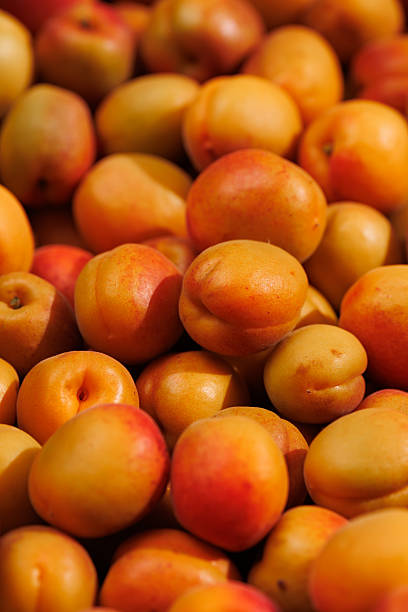 istock Many ripe apricots gathered together in close-up 2204223202