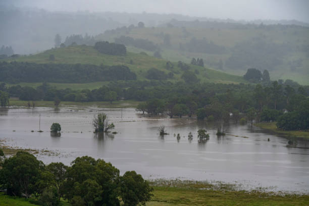Local flood waters in Brisbane, Queensland after heavy rain caused by Cyclone Alfred.