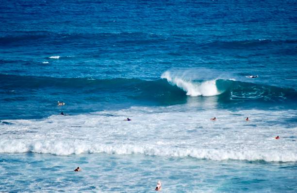istock Surfers Caught Inside on the South Shore 2204226595
