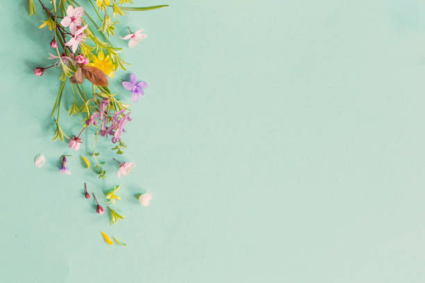 istock wild spring flowers on paper background 2204227926
