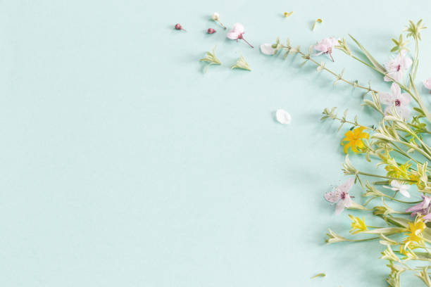istock wild spring flowers on paper background 2204228070
