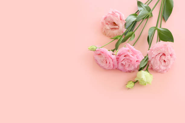 istock Top view image of delicate pink flowers over pastel background 2204229059
