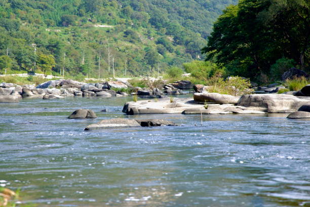 istock Seomjin River Flowing Through Janggunmok 2204231031