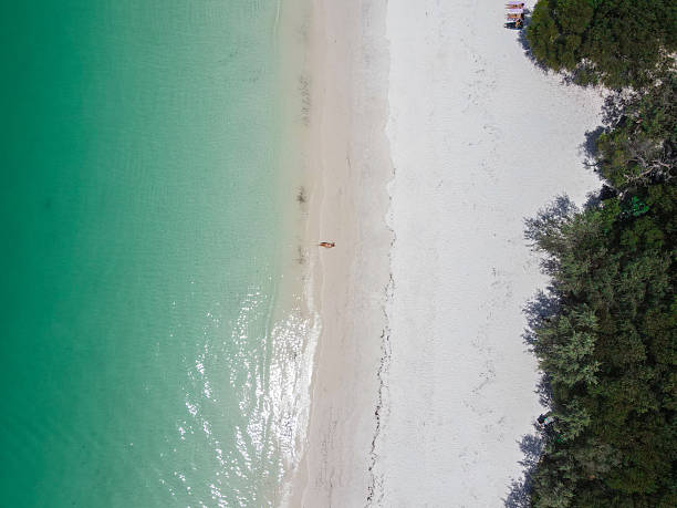 istock Woman Relaxing on a Serene Beach 2204231947