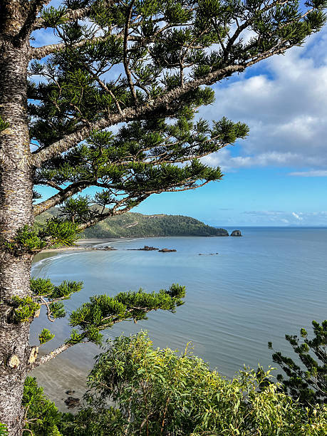 istock Coastal View with Trees Overlooking Serene Bay 2204236260