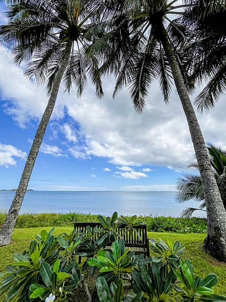 istock Scenic Ocean View from Tropical Garden with Palm Trees 2204236262