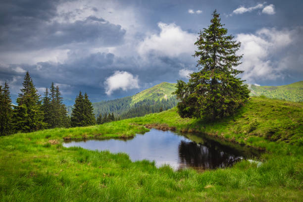 Rainy day with spectacular dark clouds and beautiful small lake on the green forest glade