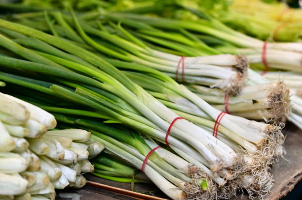 Essential Scallions for Culinary Delights