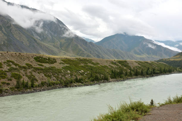 istock A wide, turbulent river flows through a picturesque valley surrounded by high mountains with peaks in thunderclouds on a cloudy summer day. 2204239657